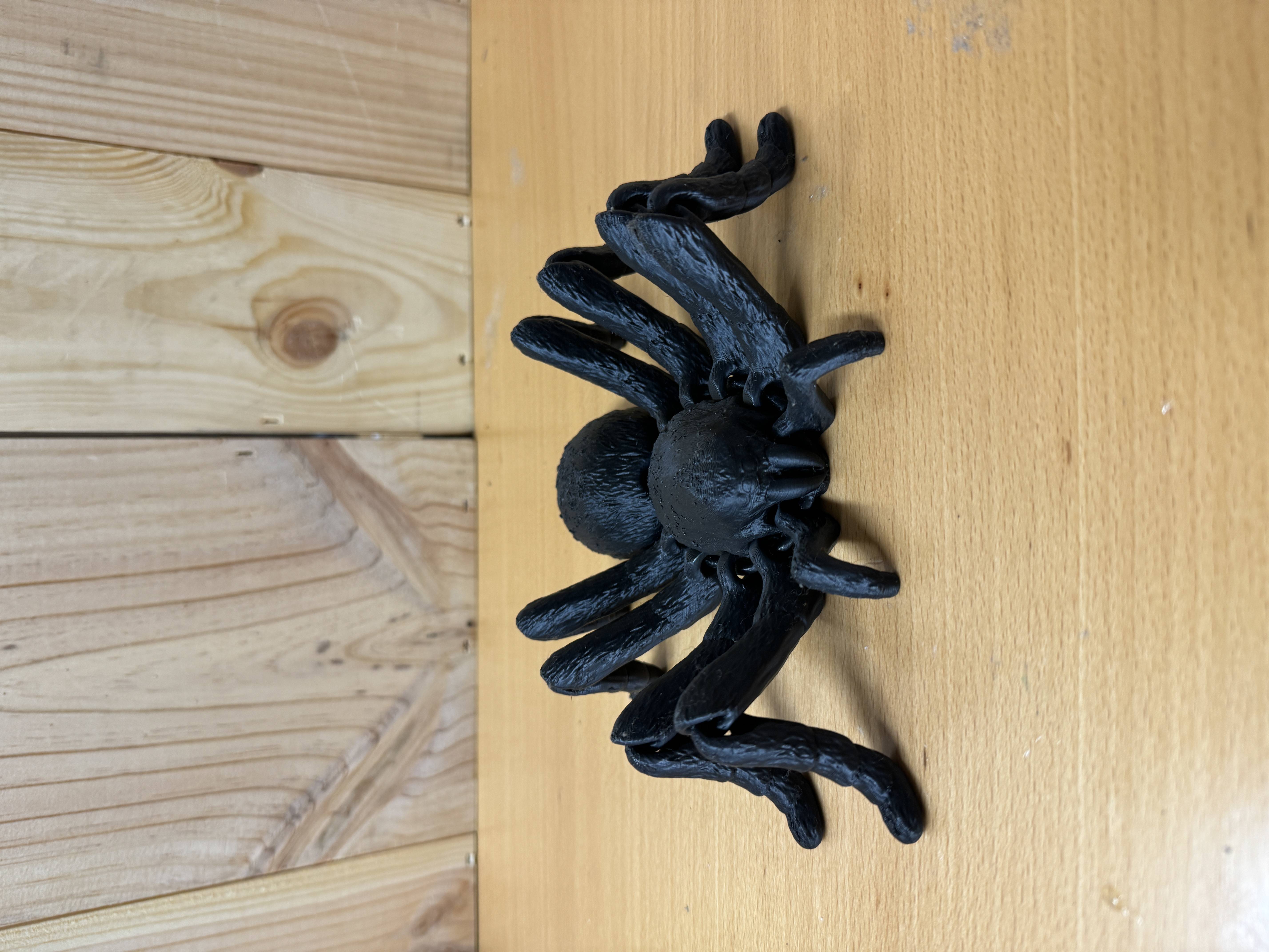 Tarantula með liðamótum