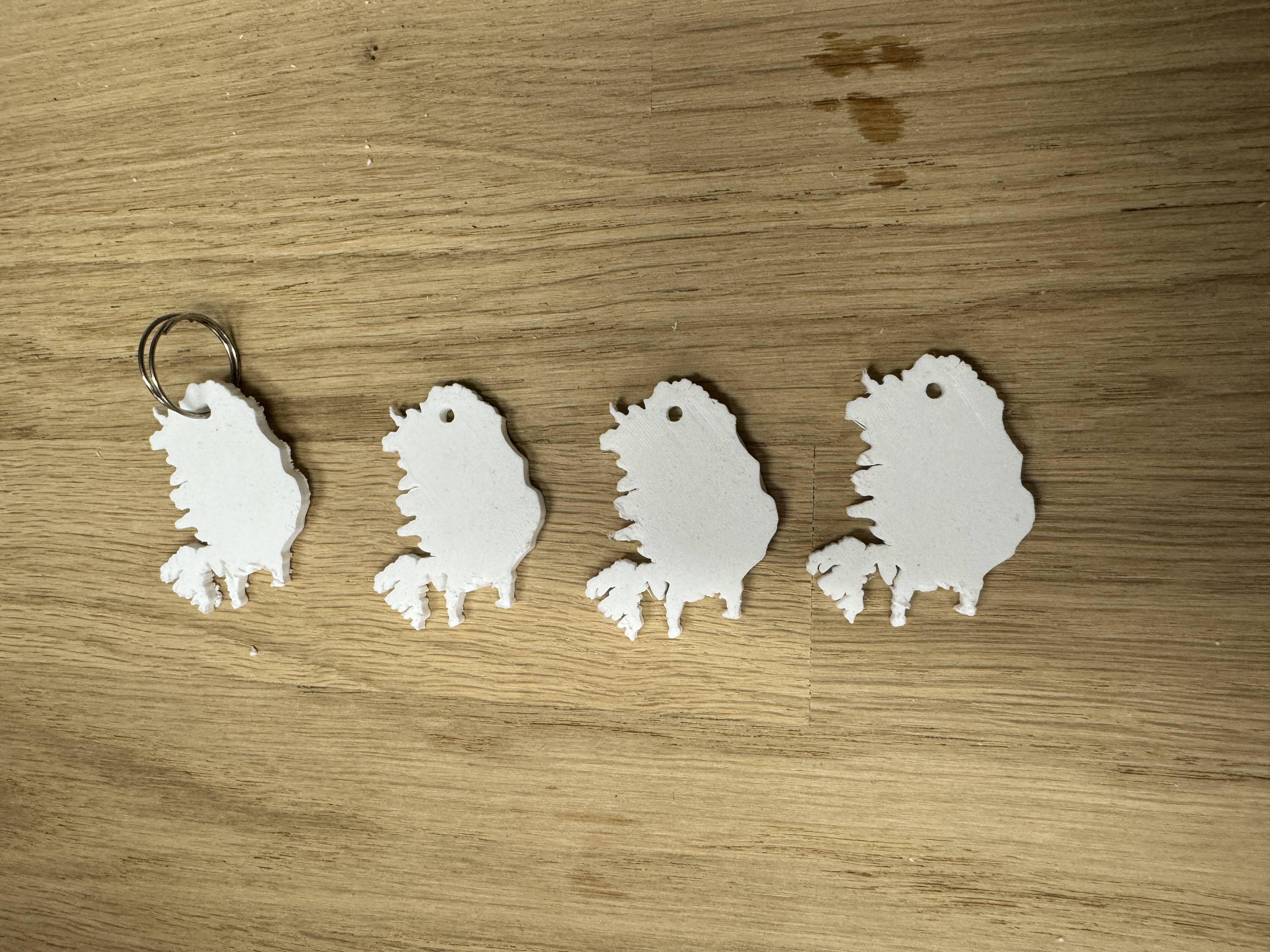 Lyklakippa - Ísland