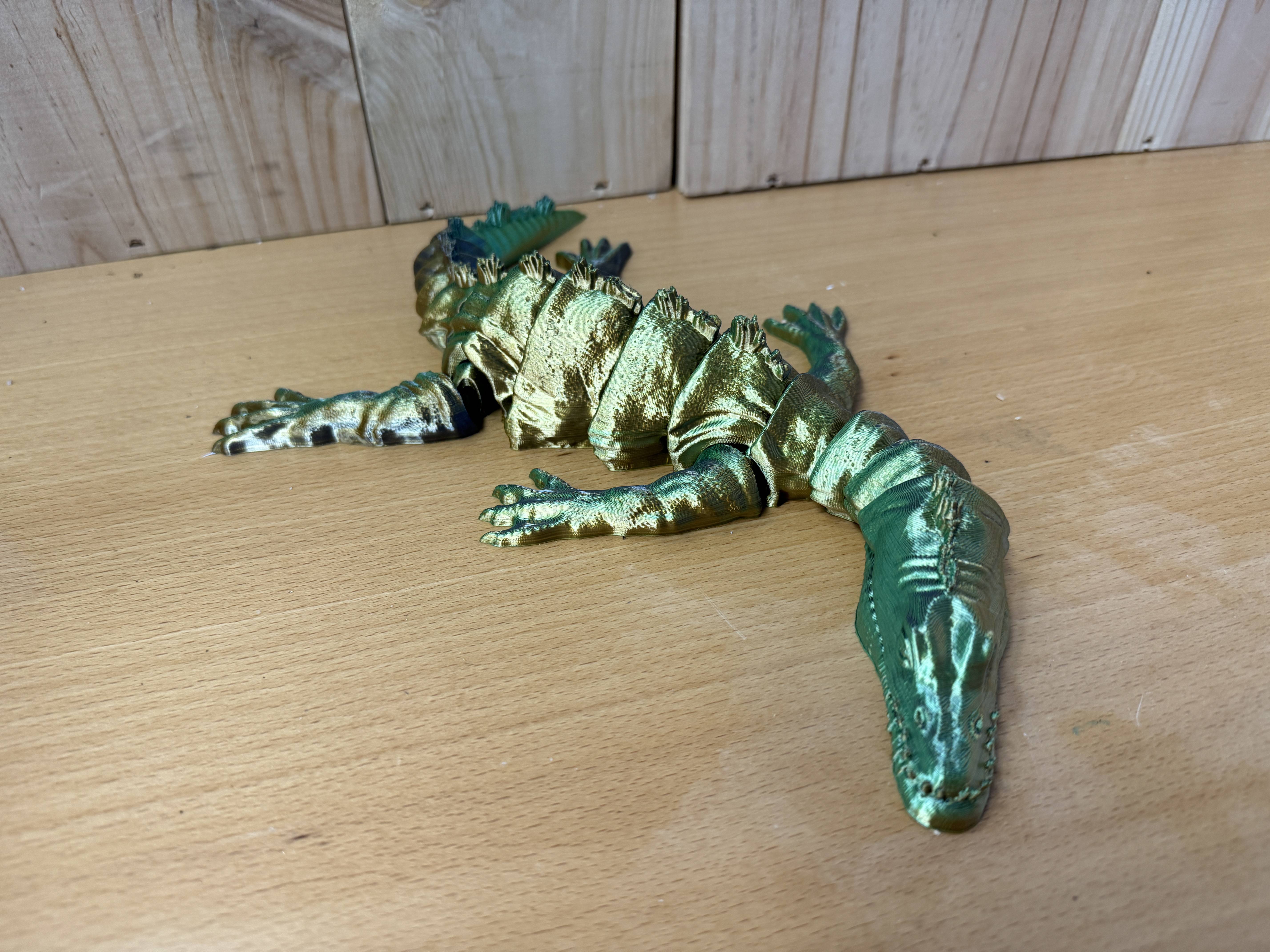 Articulated Nothosaurus