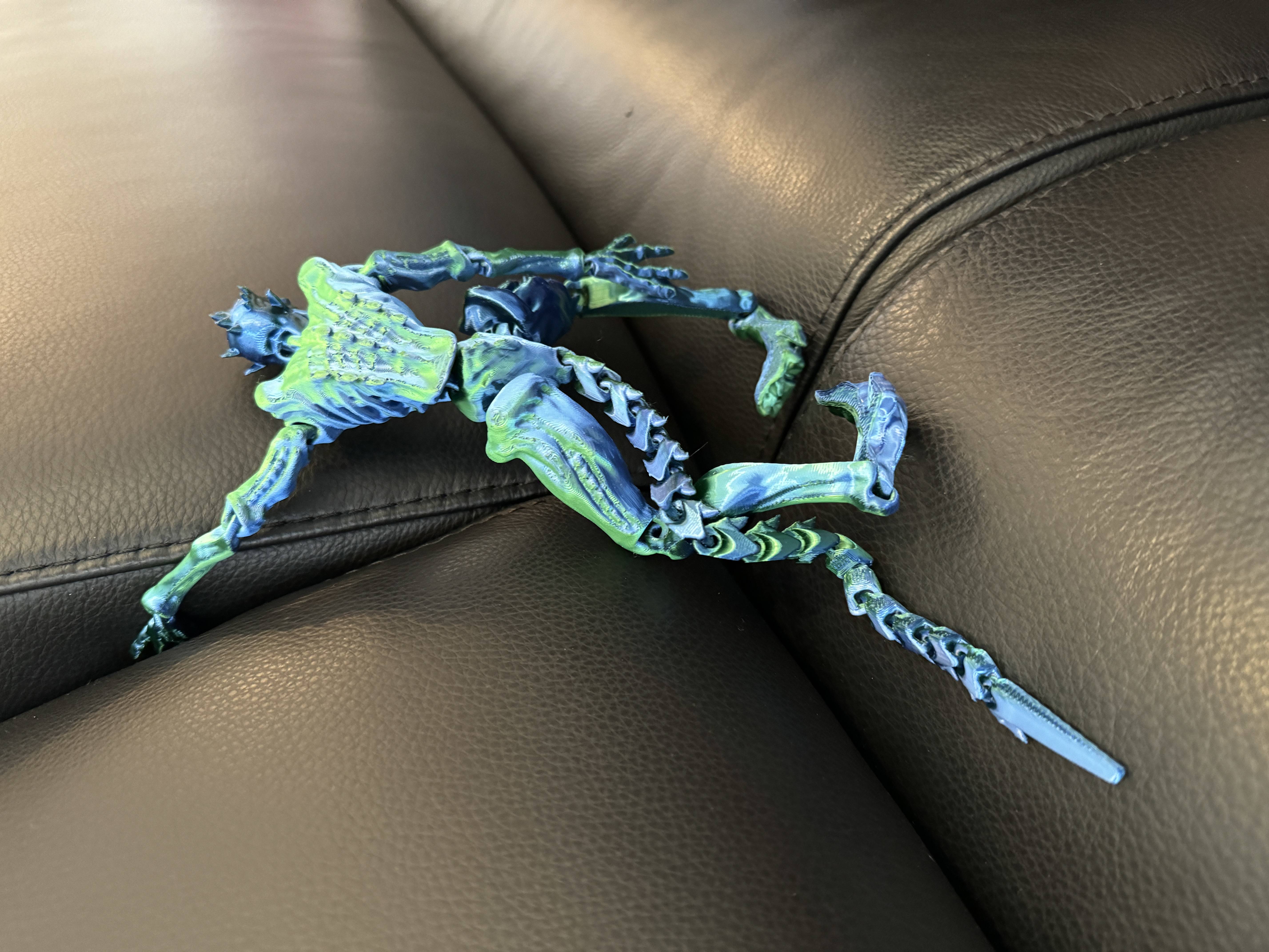 Geimvera með liðamótum