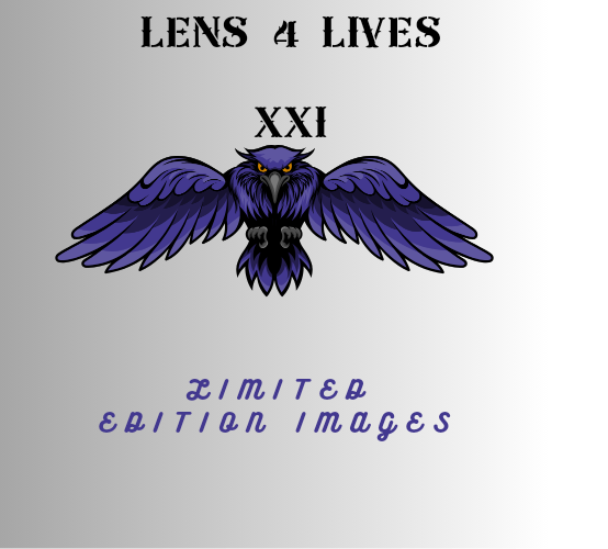 Lens 4 Lives xxi:.com: limited edition prints, posters and postcards