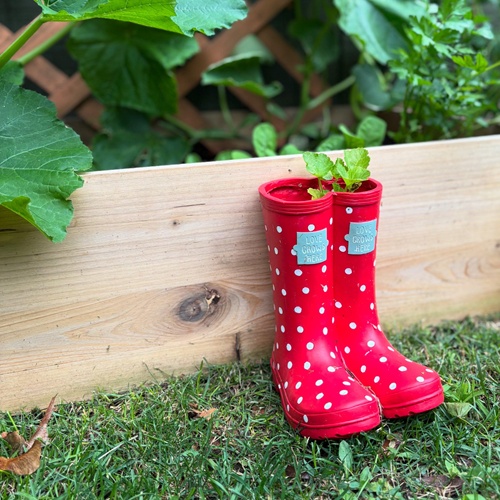 Red Polka Dot Wellington Boot Planter – Novelty Garden Plant Pot