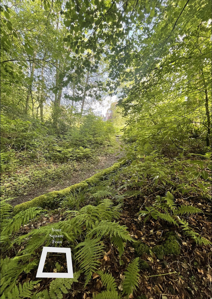 Photo of Your Square Foot-2 Adj Plots for Couple