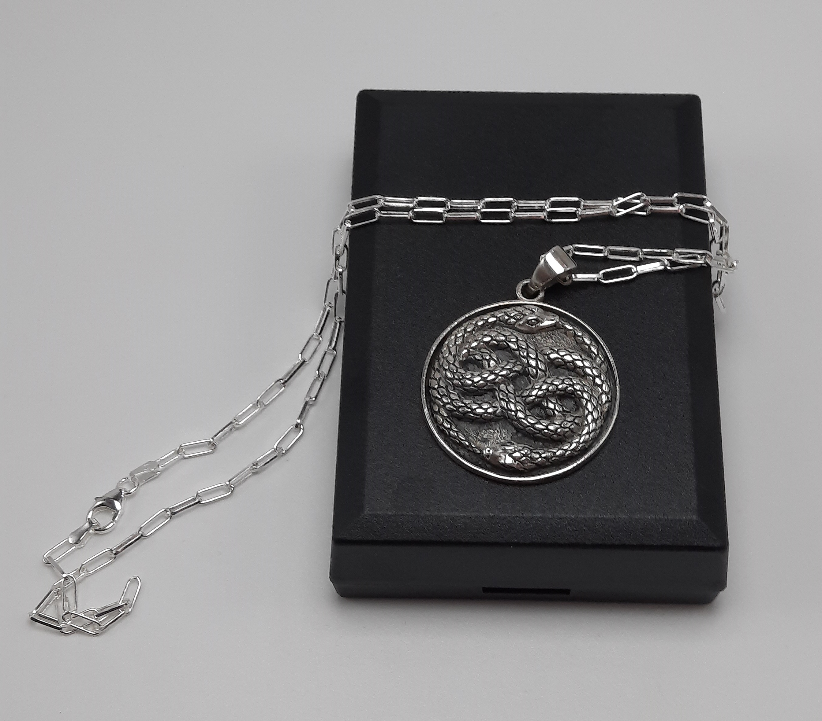 Sterling Silver Twin Snake Pendant and Chain