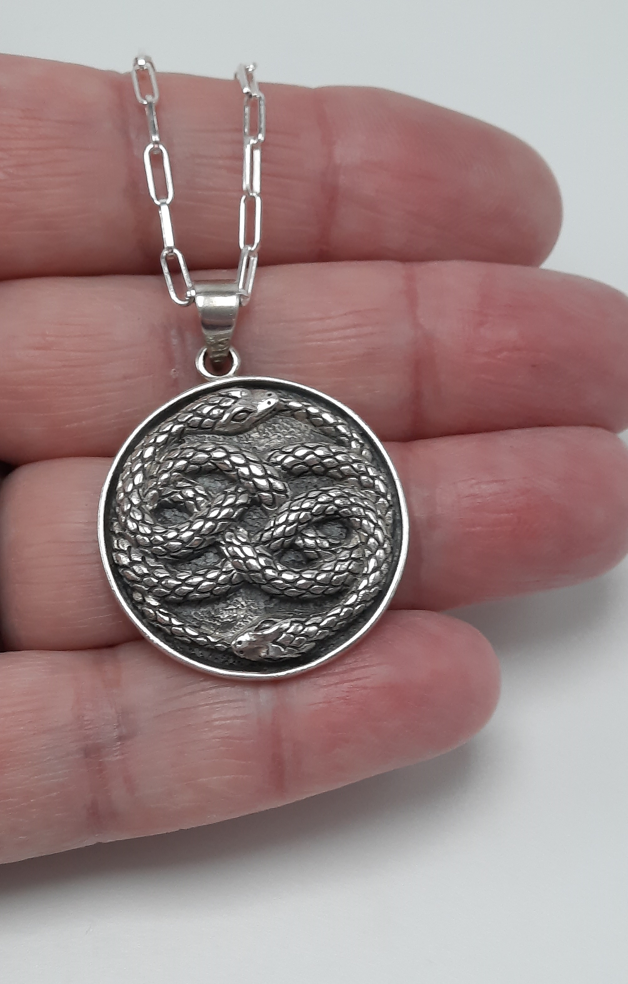 Sterling Silver Twin Snake Pendant and Chain