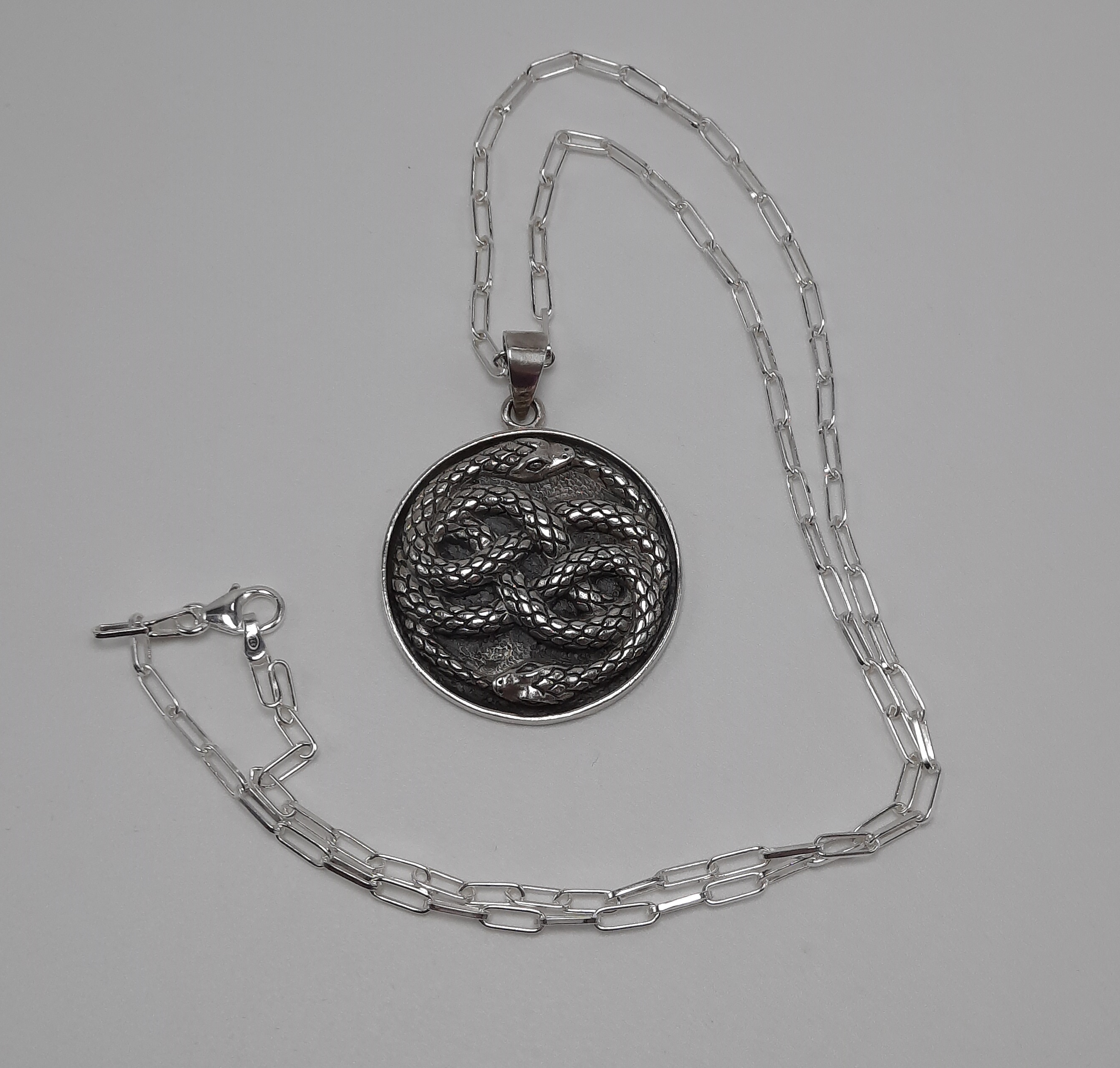 Sterling Silver Twin Snake Pendant and Chain