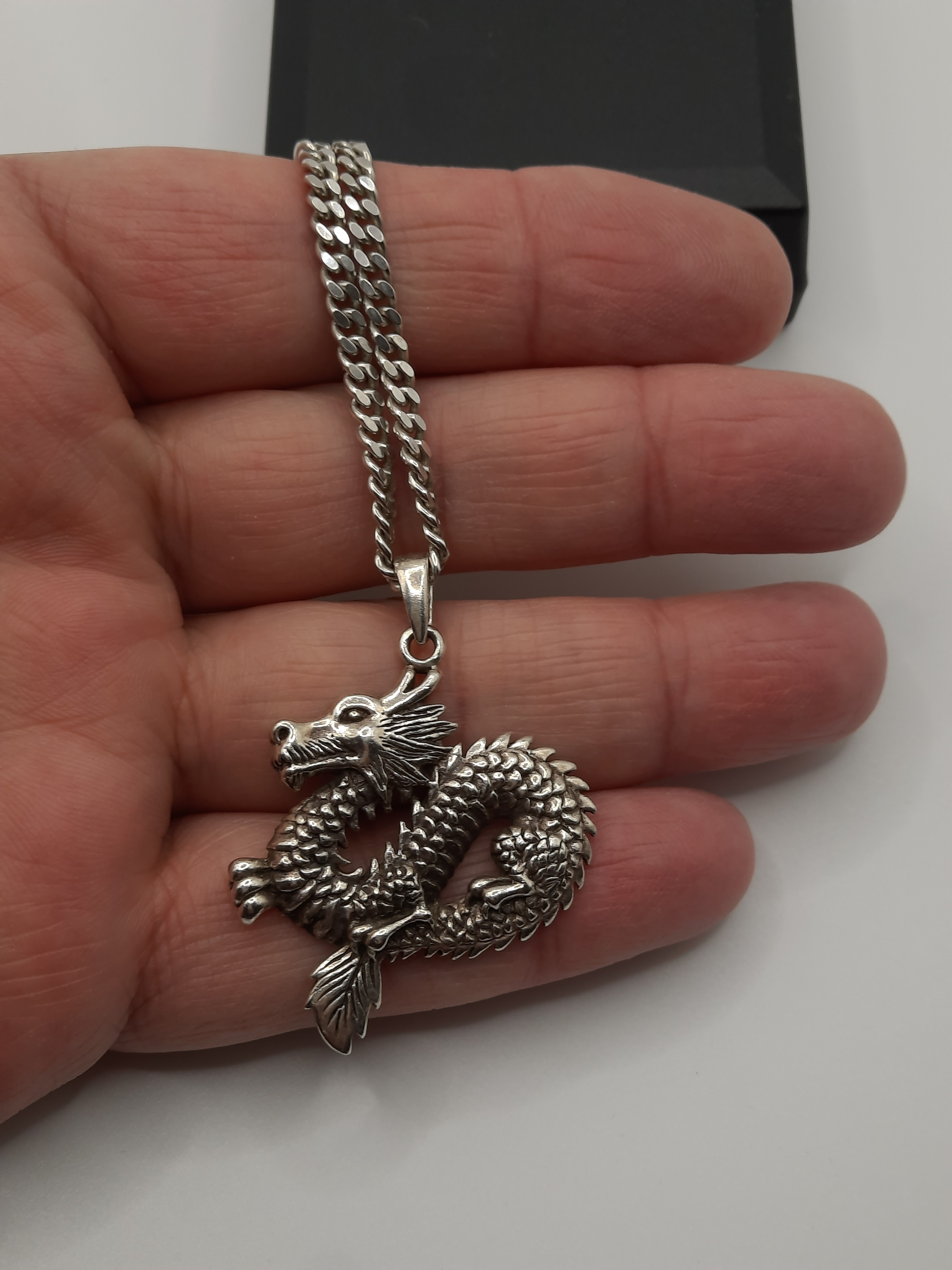 Sterling Silver Dragon Pendant on Thick Sterling Curb Chain
