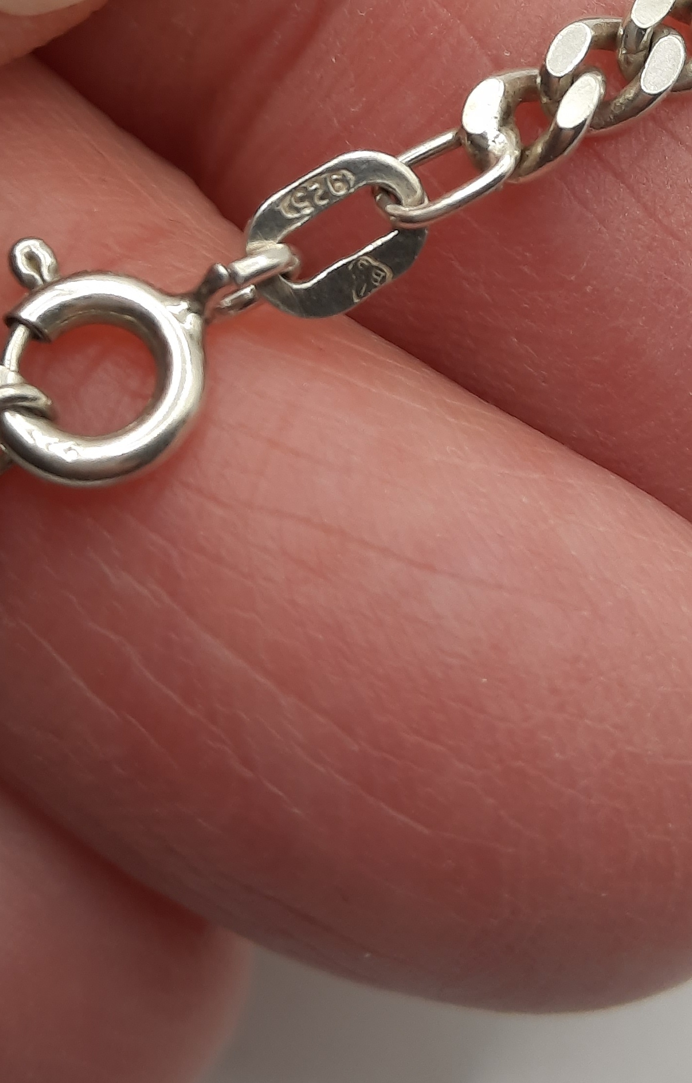 Sterling Silver Dragon Pendant on Thick Sterling Curb Chain