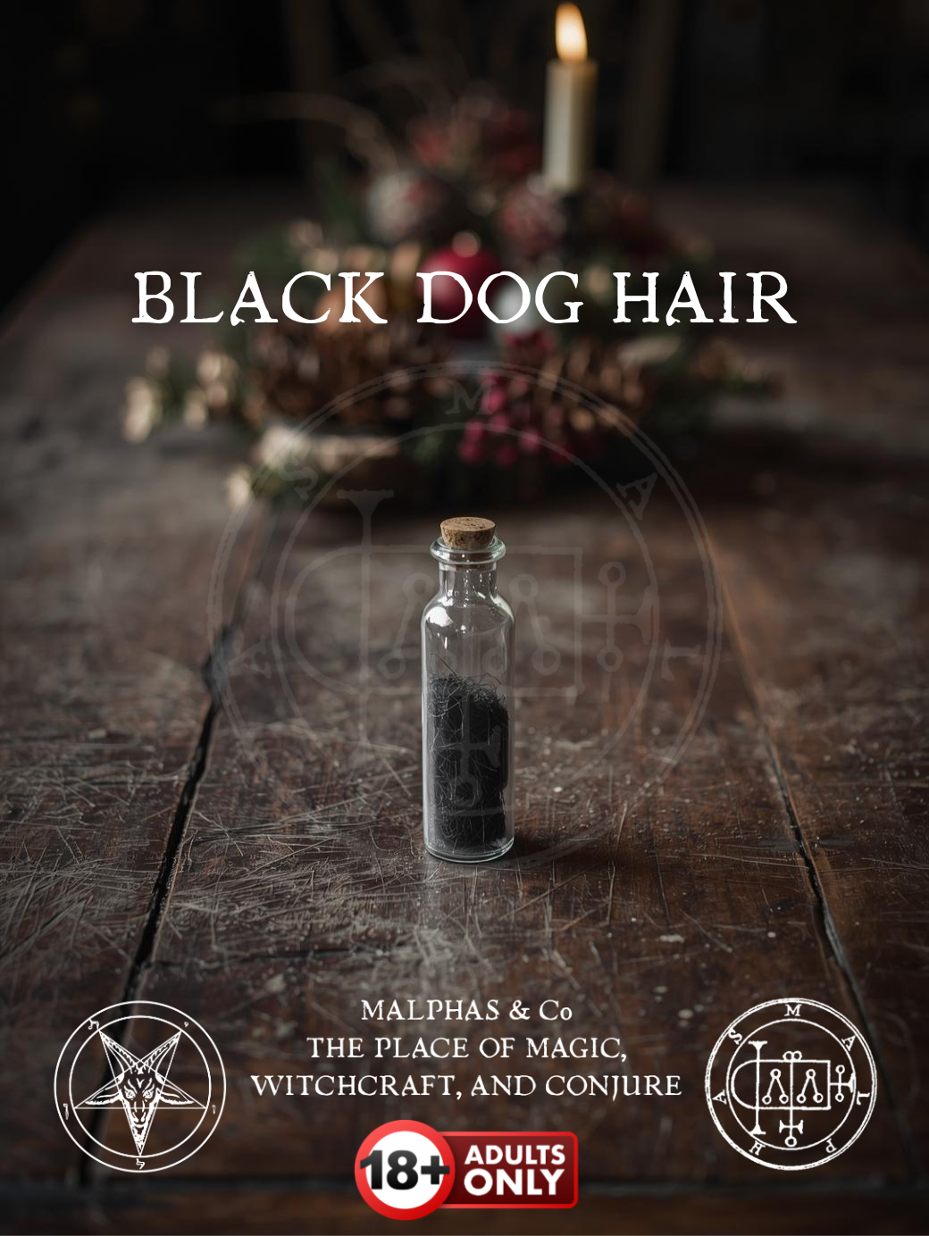 Black Dog Hair