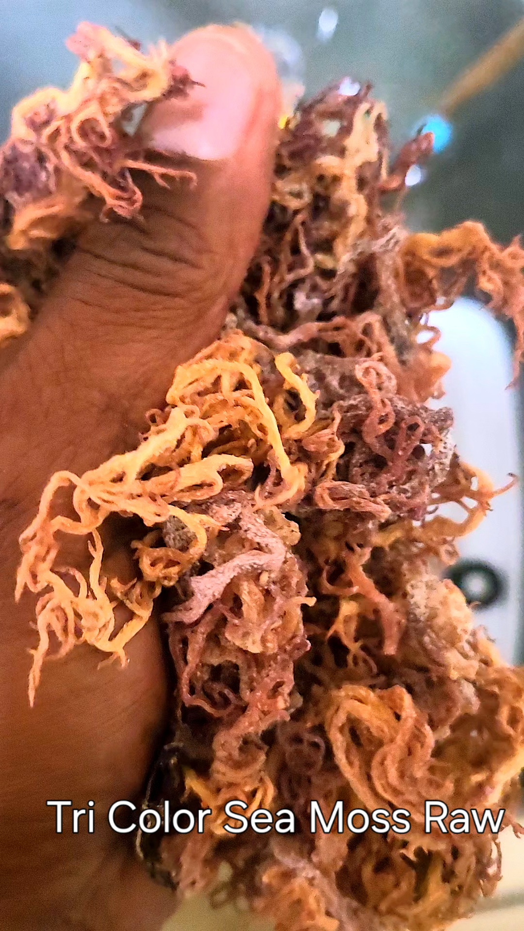 Dry Raw Sea Moss