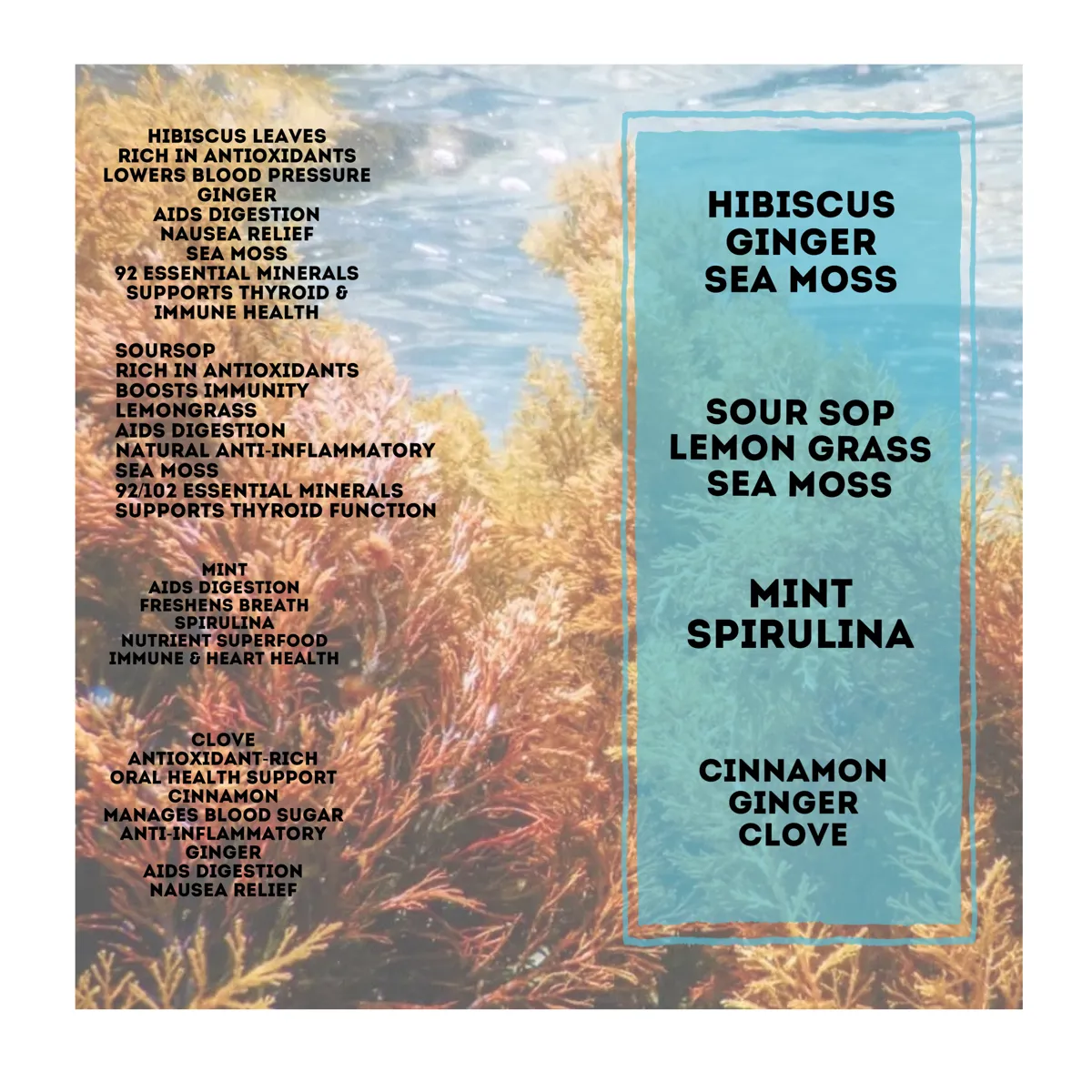 Dry herbal tea bags individually wrapped