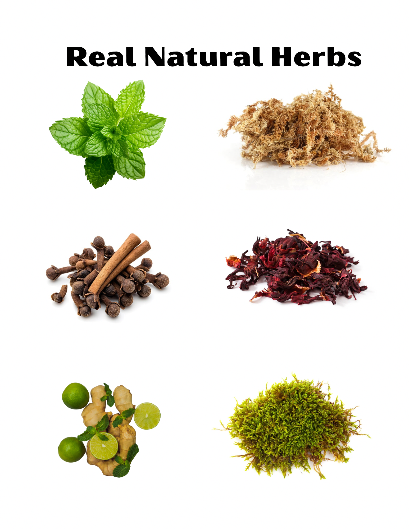 Dry herbal tea bags individually wrapped