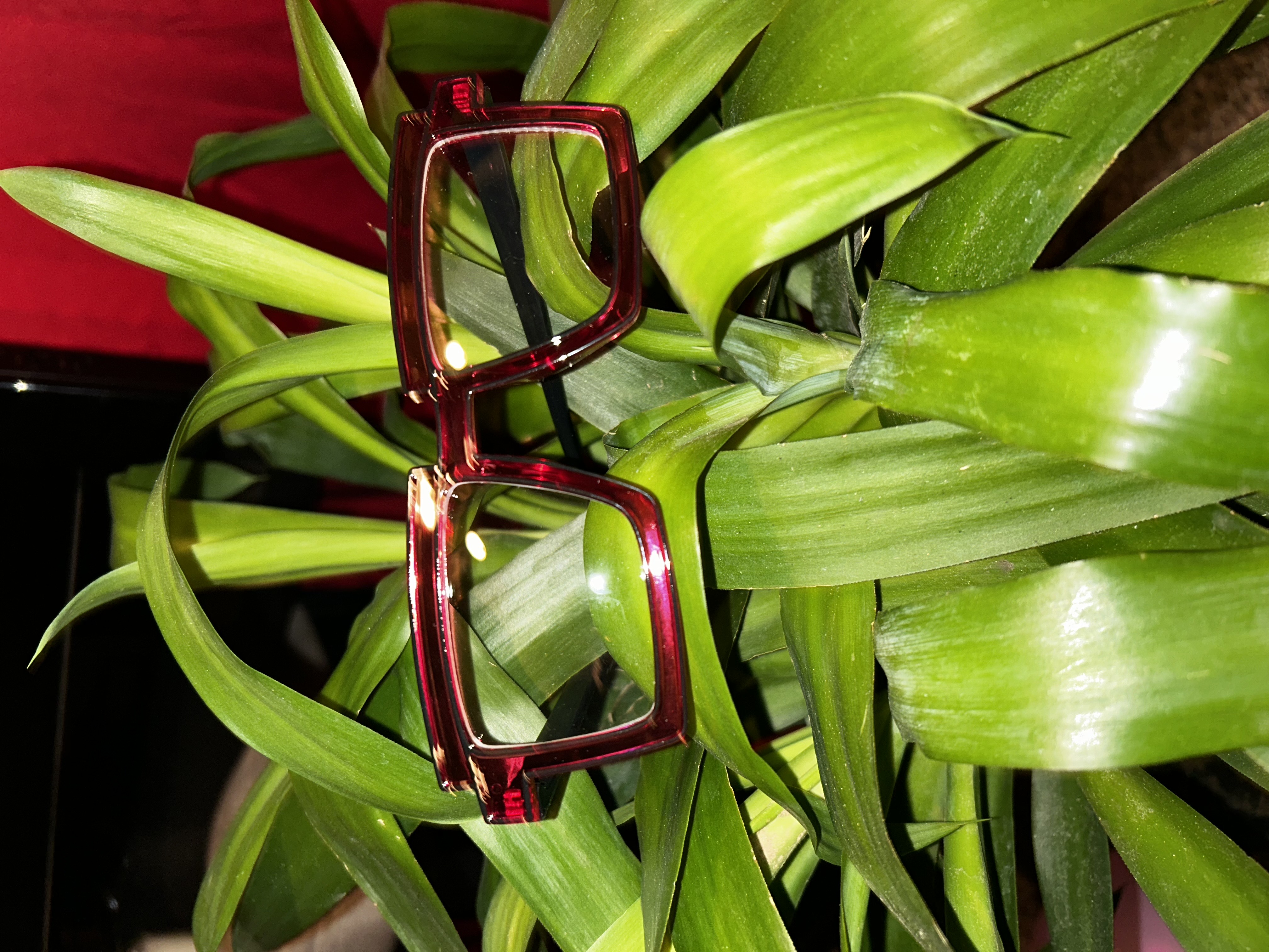 Square Candy-Colored Eyewear