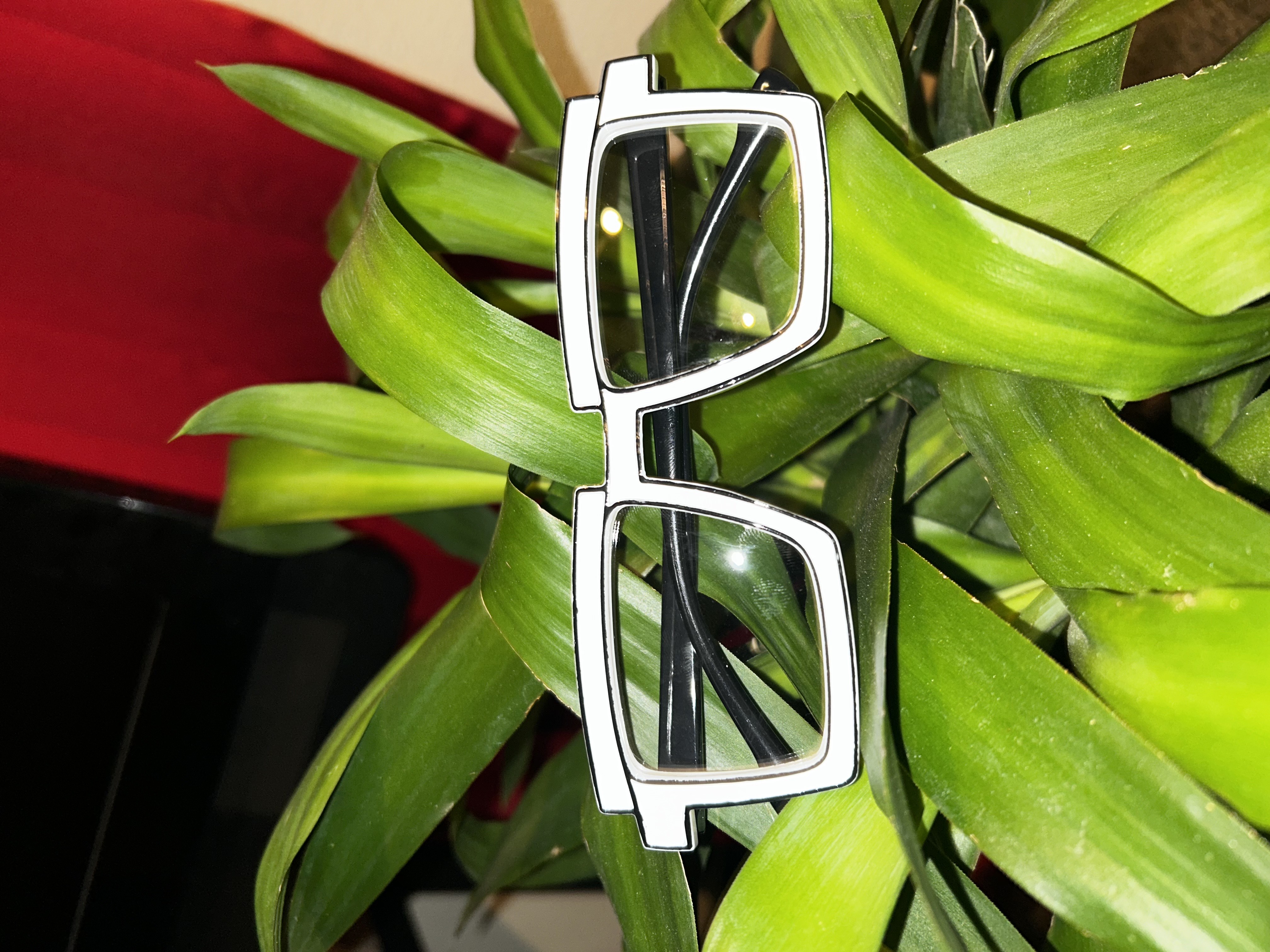 Square Candy-Colored Eyewear