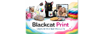 Black Cat Print