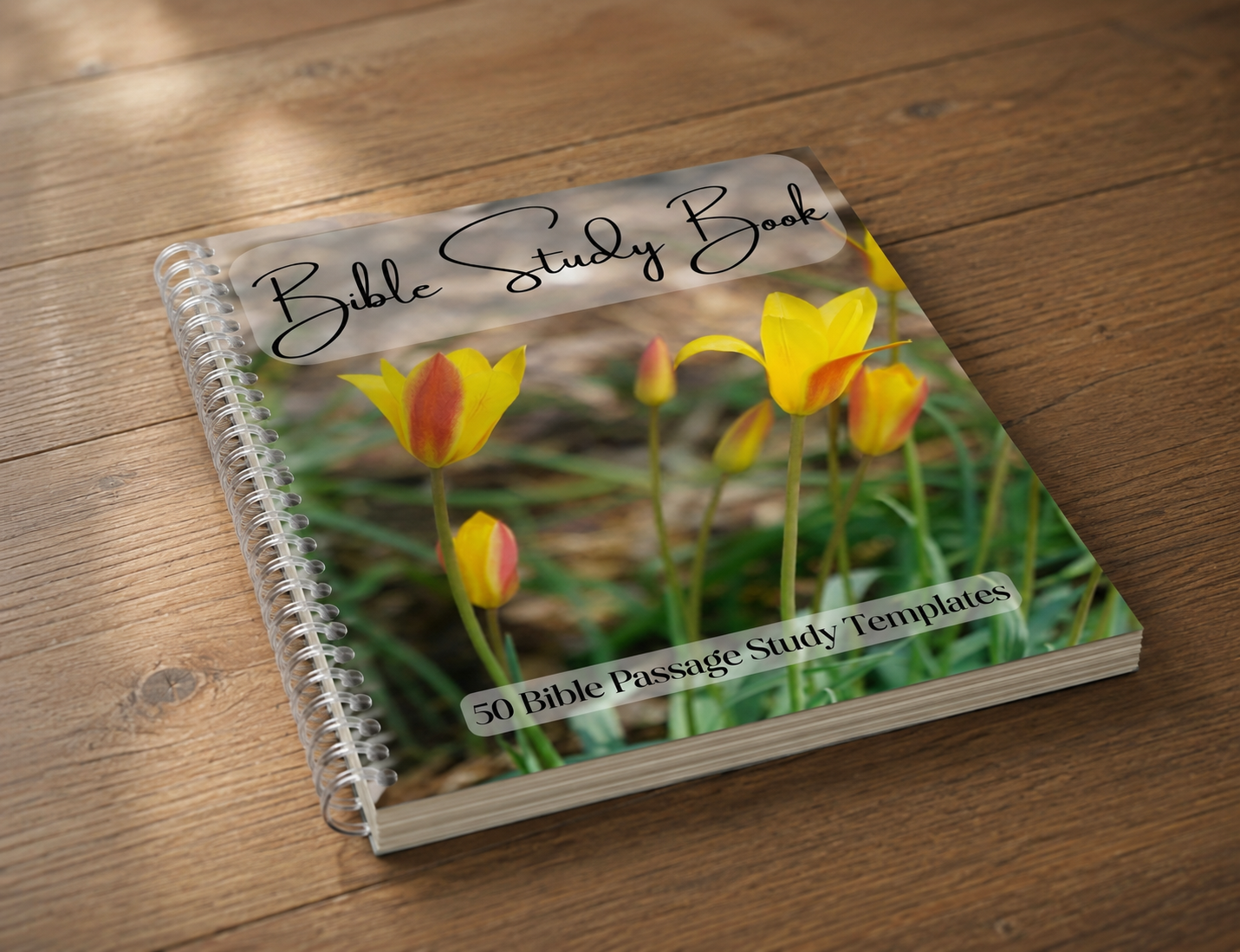 Bible Passage Study Book