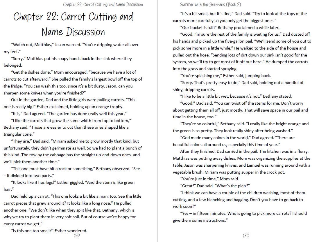 SLIGHTLY IMPERFECT Book 2: Summer with the Brennans