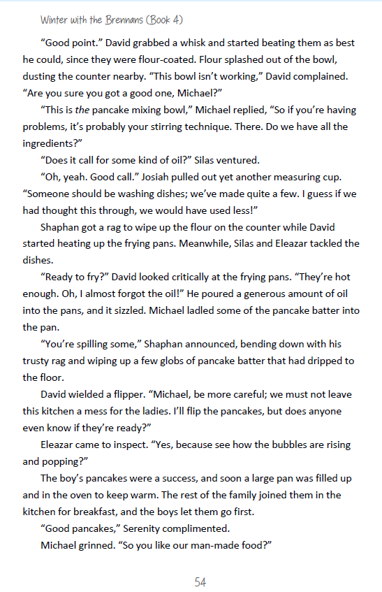 SLIGHTLY IMPERFECT Book 4: Winter with the Brennans