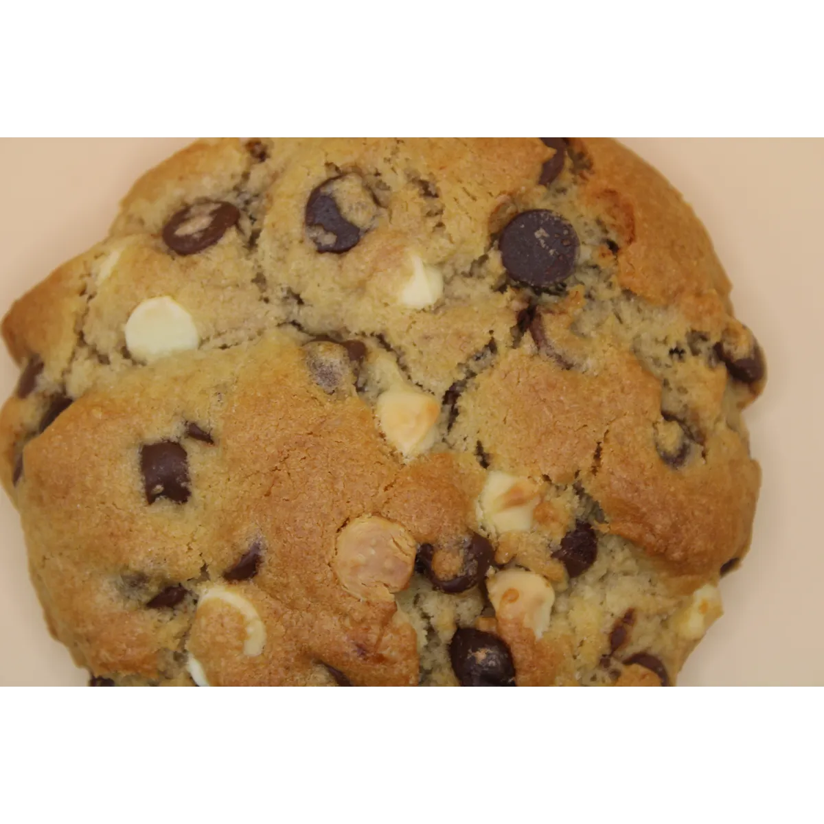 Chocolate Chip Cookie