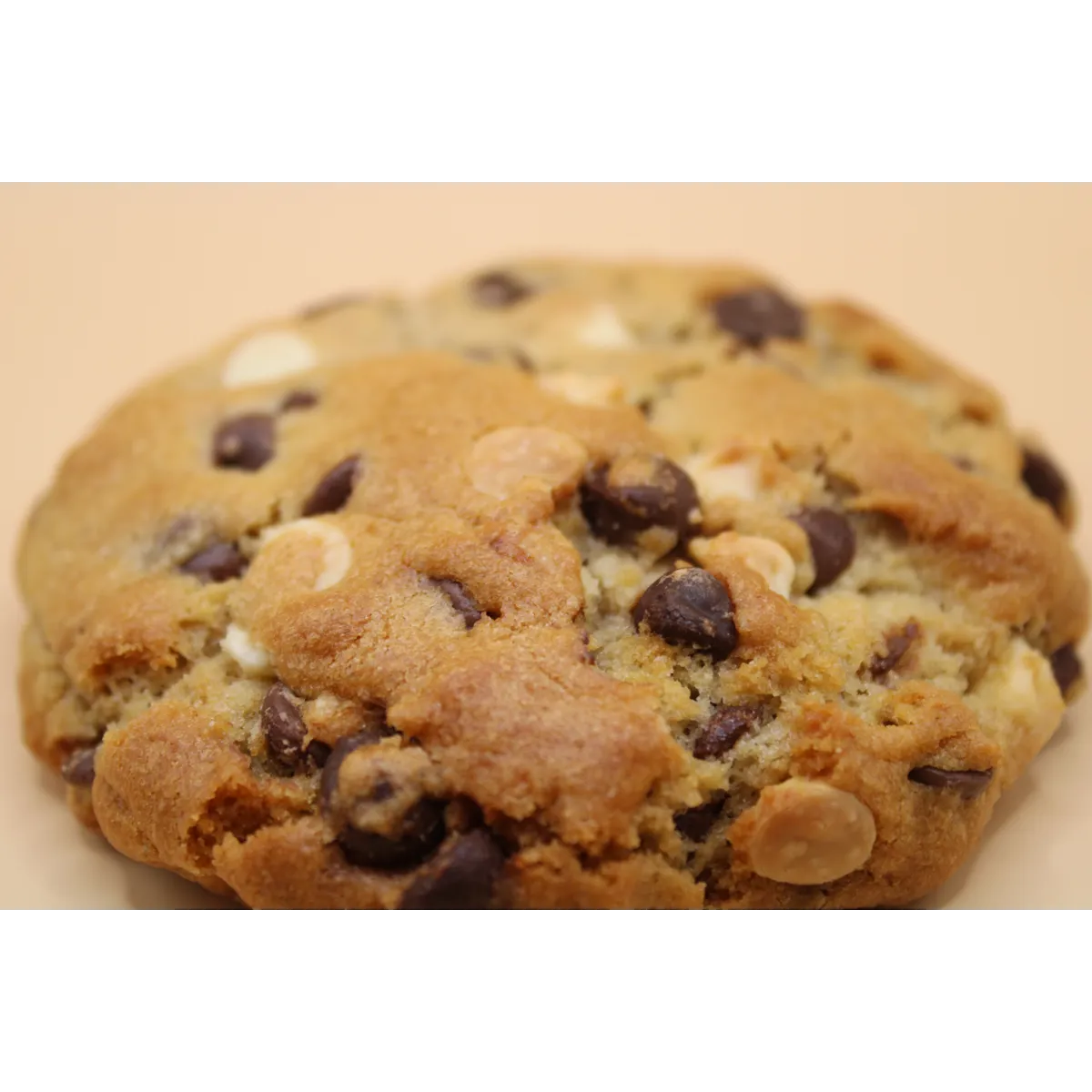 Chocolate Chip Cookie