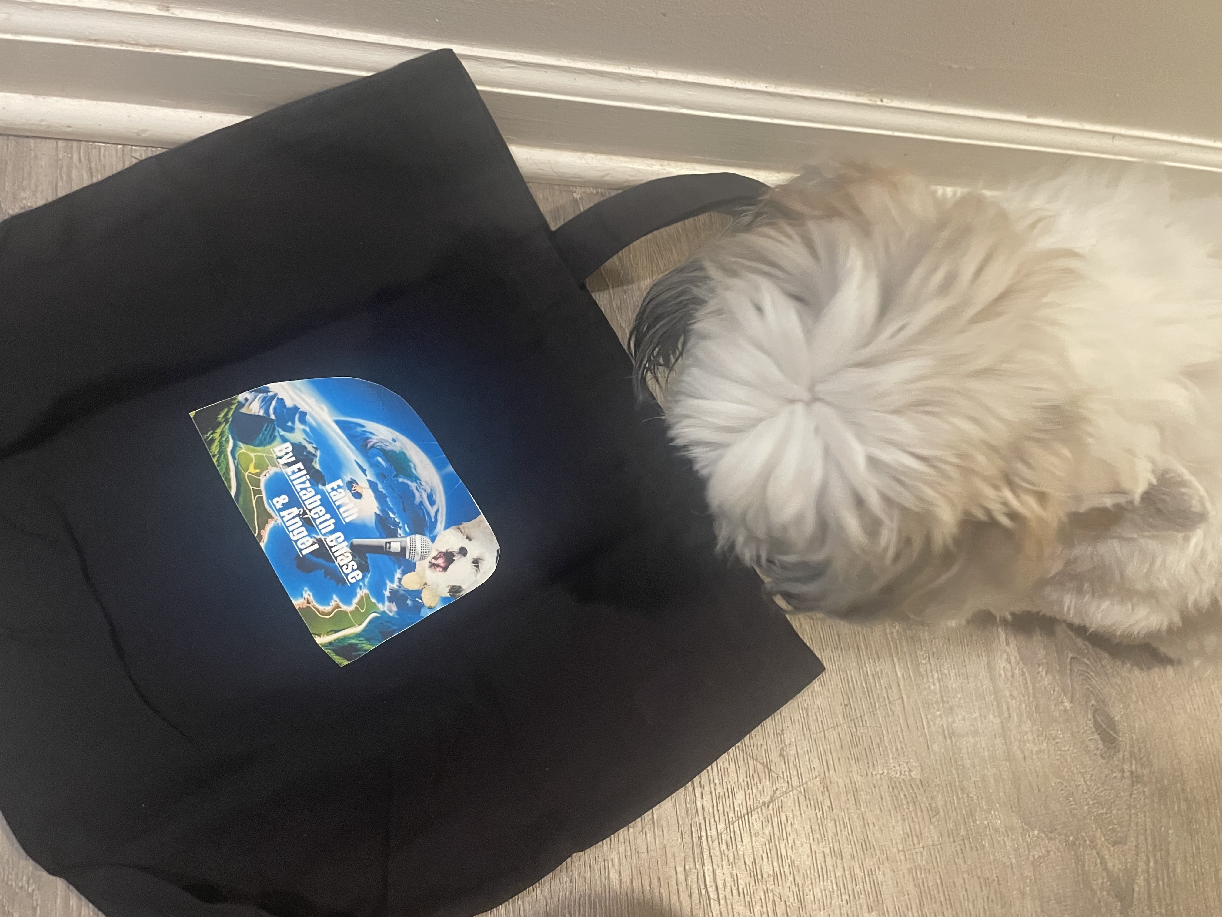 Earth (Animal rescue Song Totes)