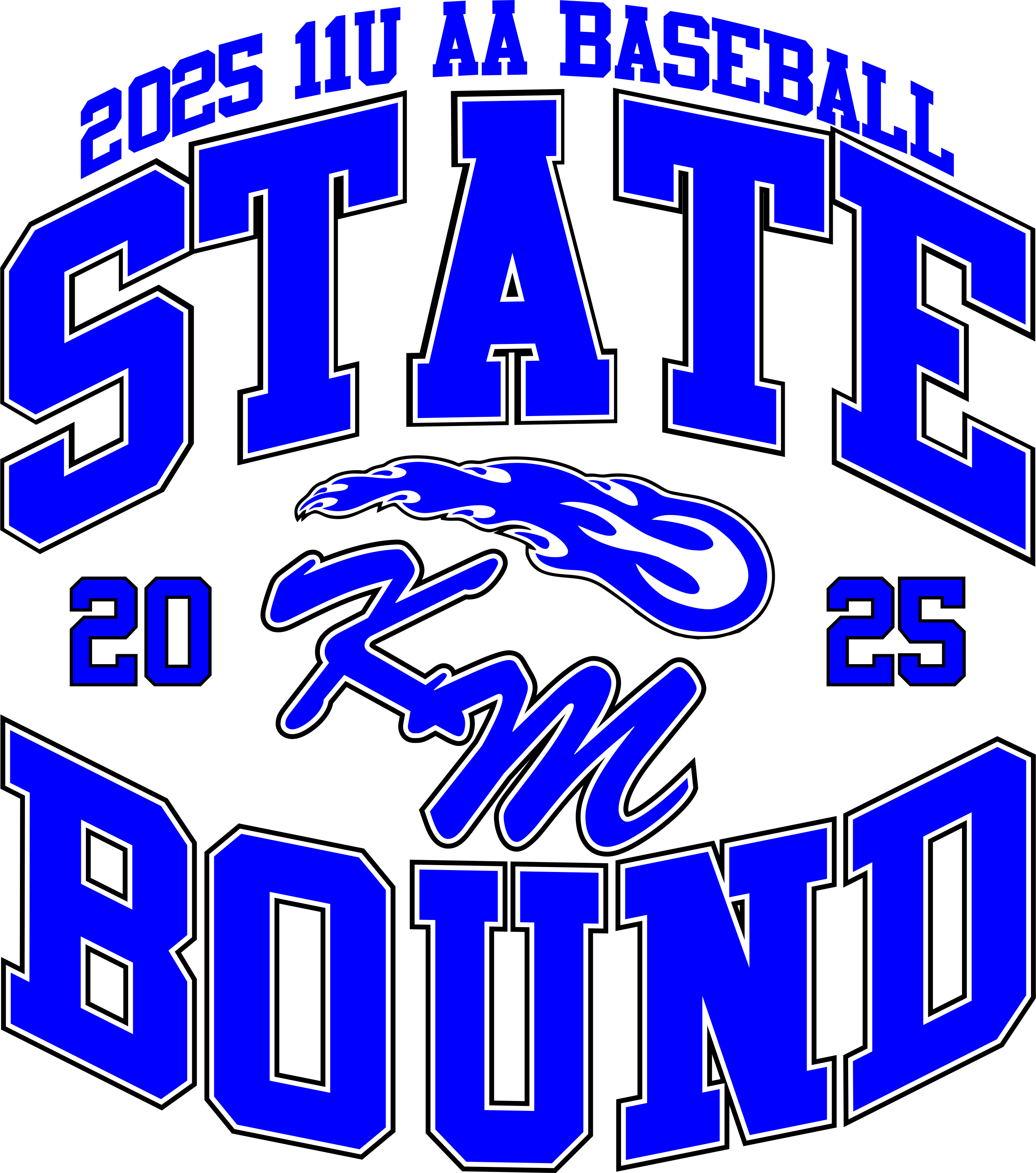 2025 11U State Tournament Baseball T