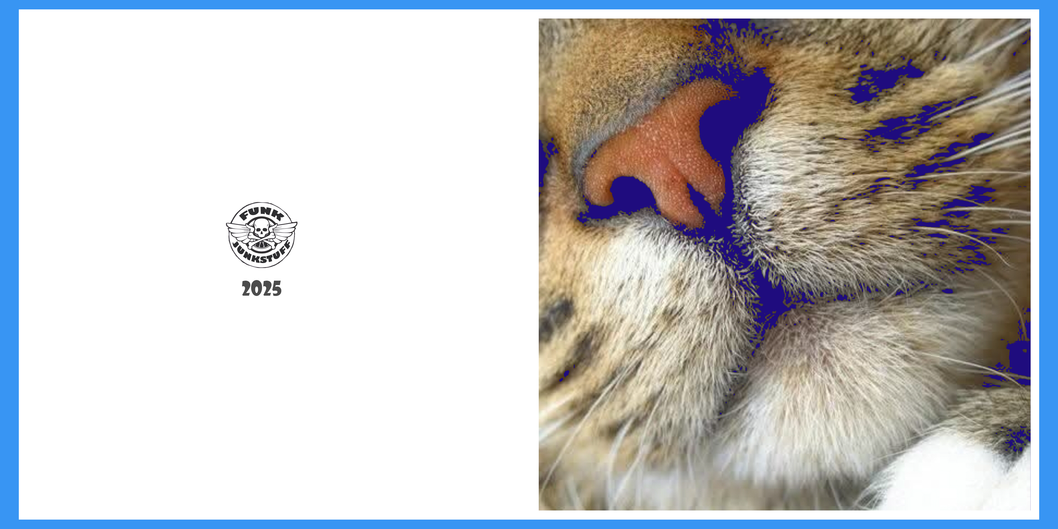 Cat Nose Greeting cat