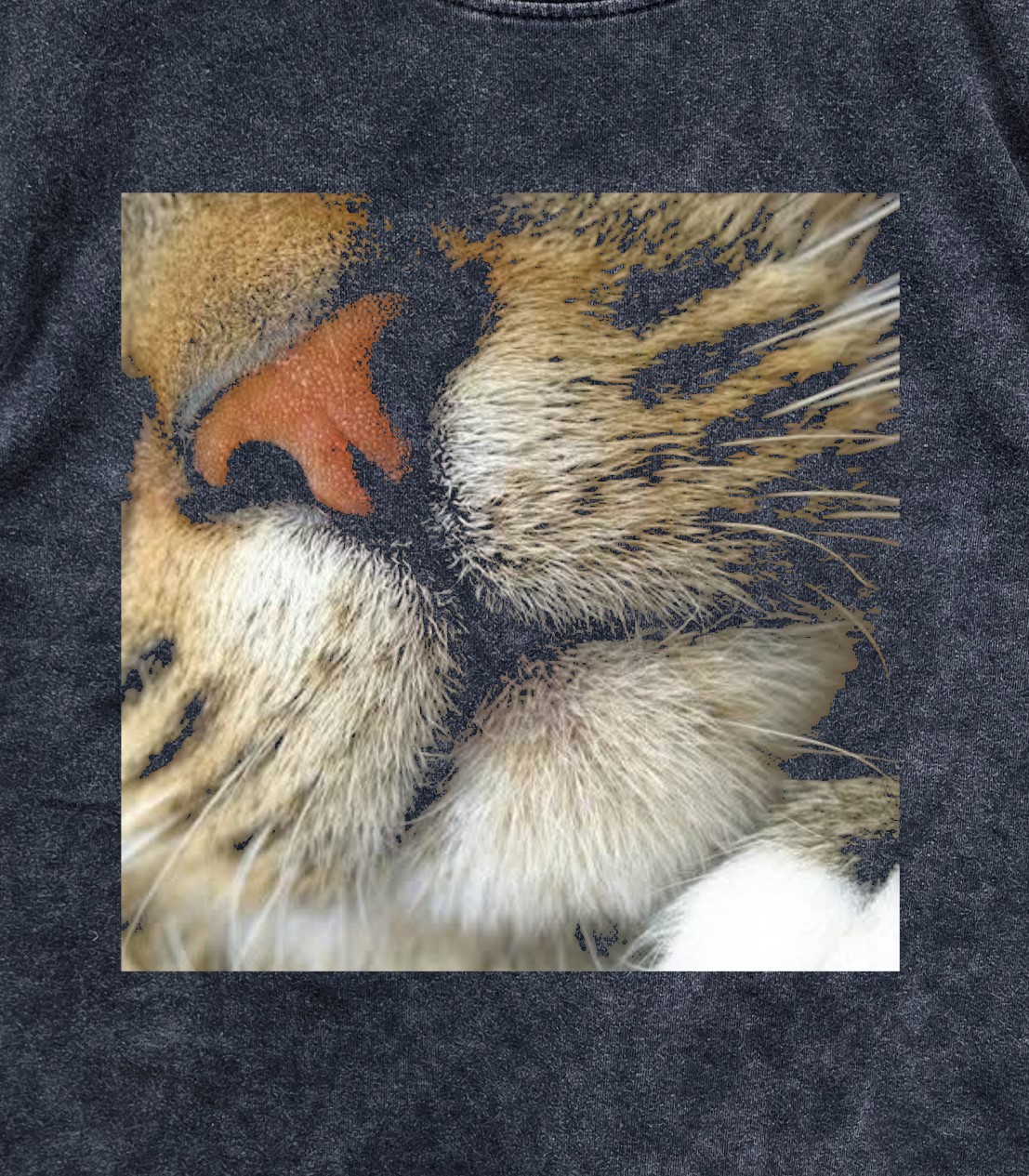 Cat Nose