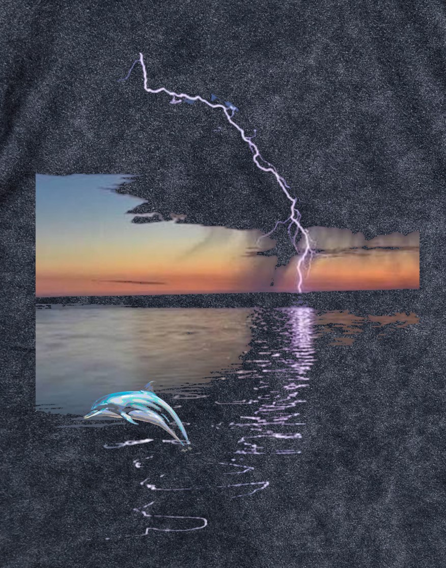 Dolphin Jump