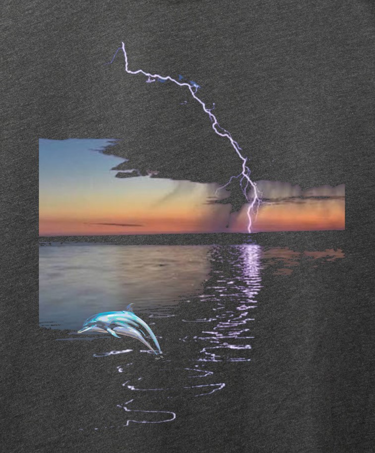 Dolphin Jump