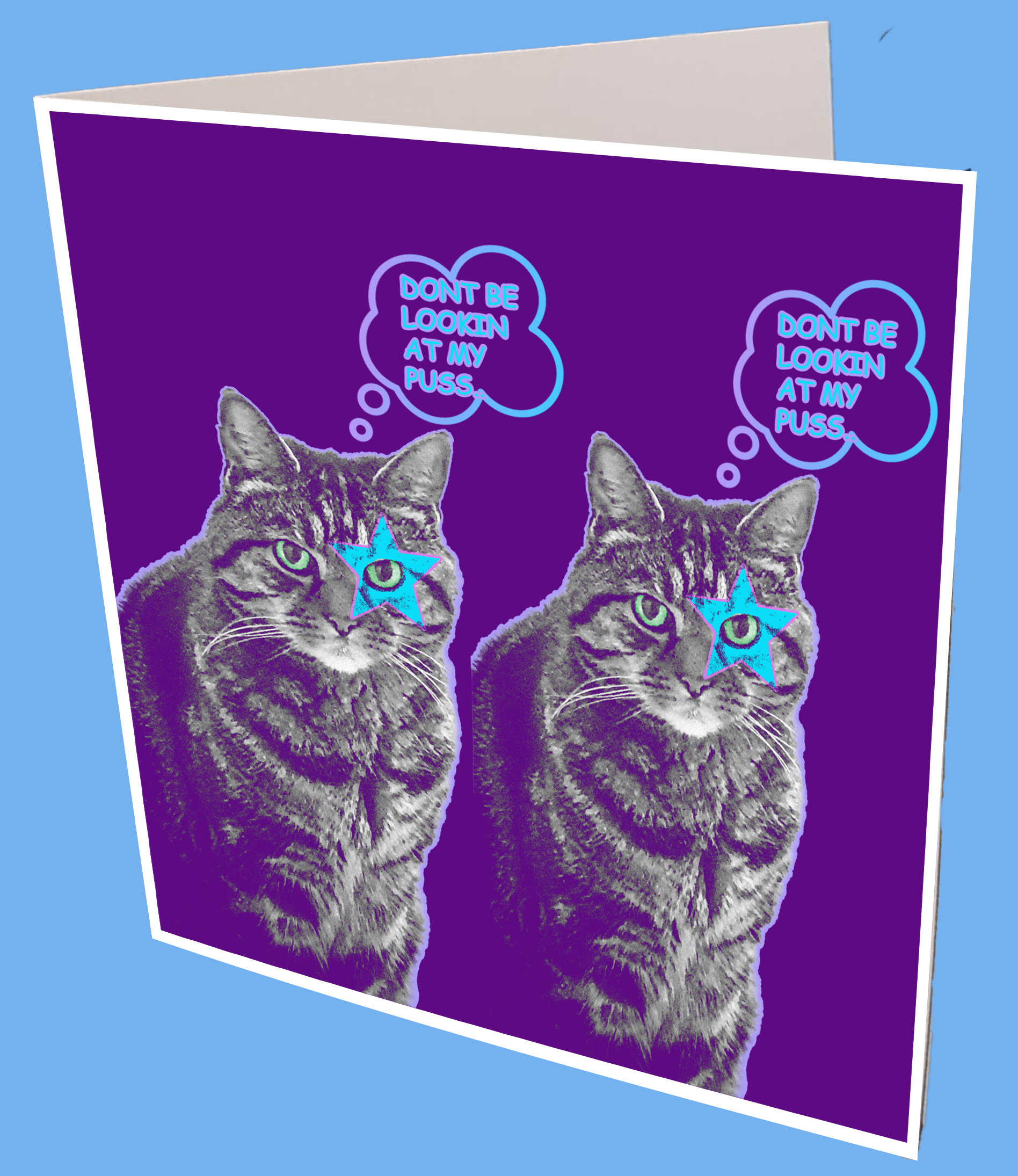 Dont Look at my Pussy Greeting Card