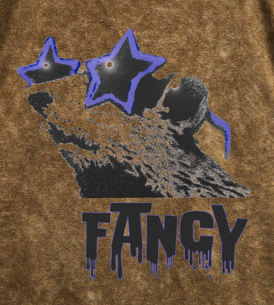 Fancy Rat