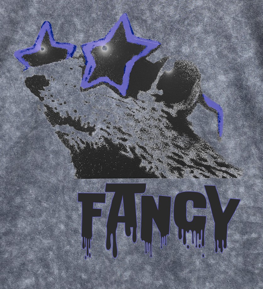 Fancy Rat