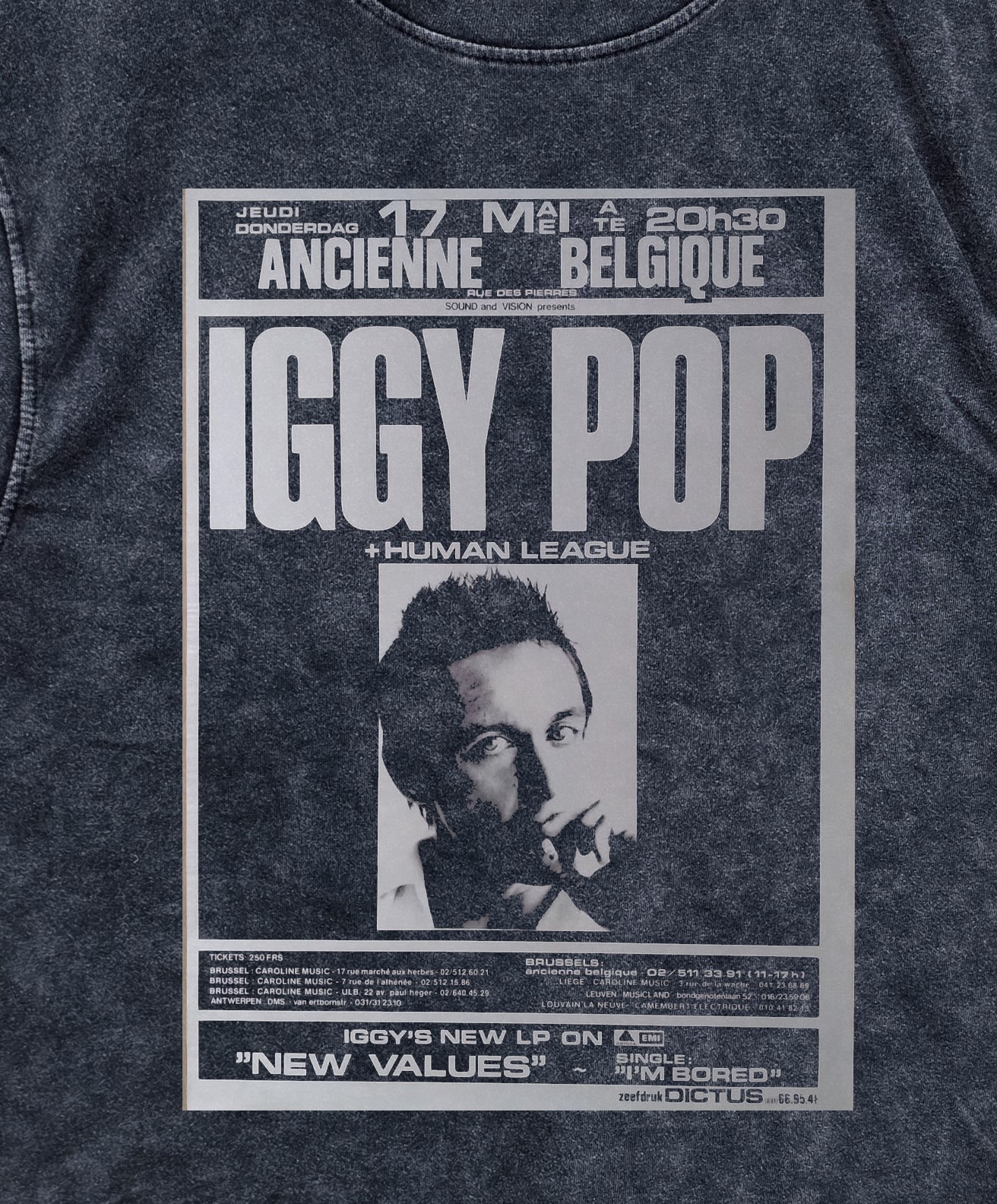 Iggy Pop Poster