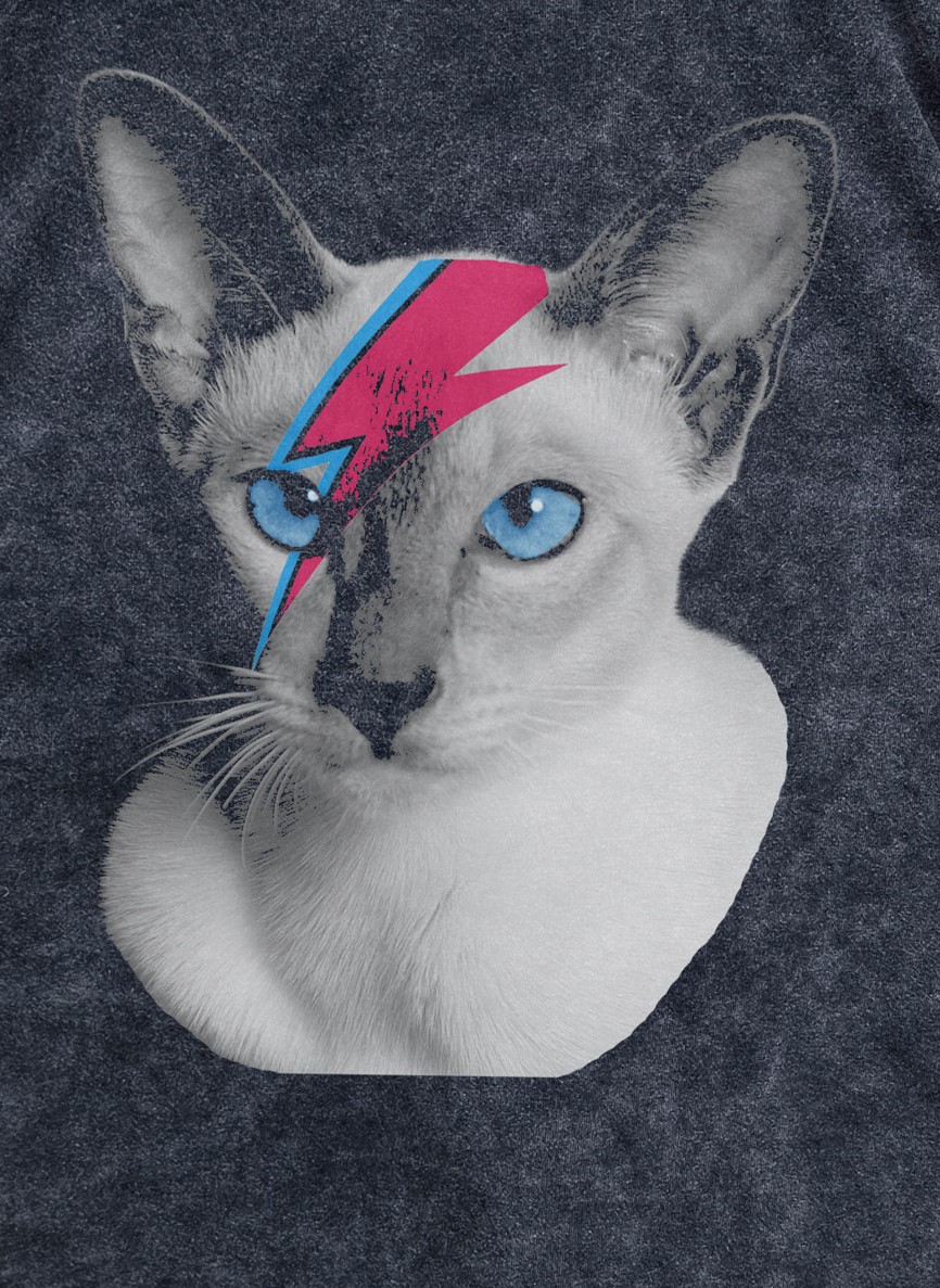 Kitty Ziggy