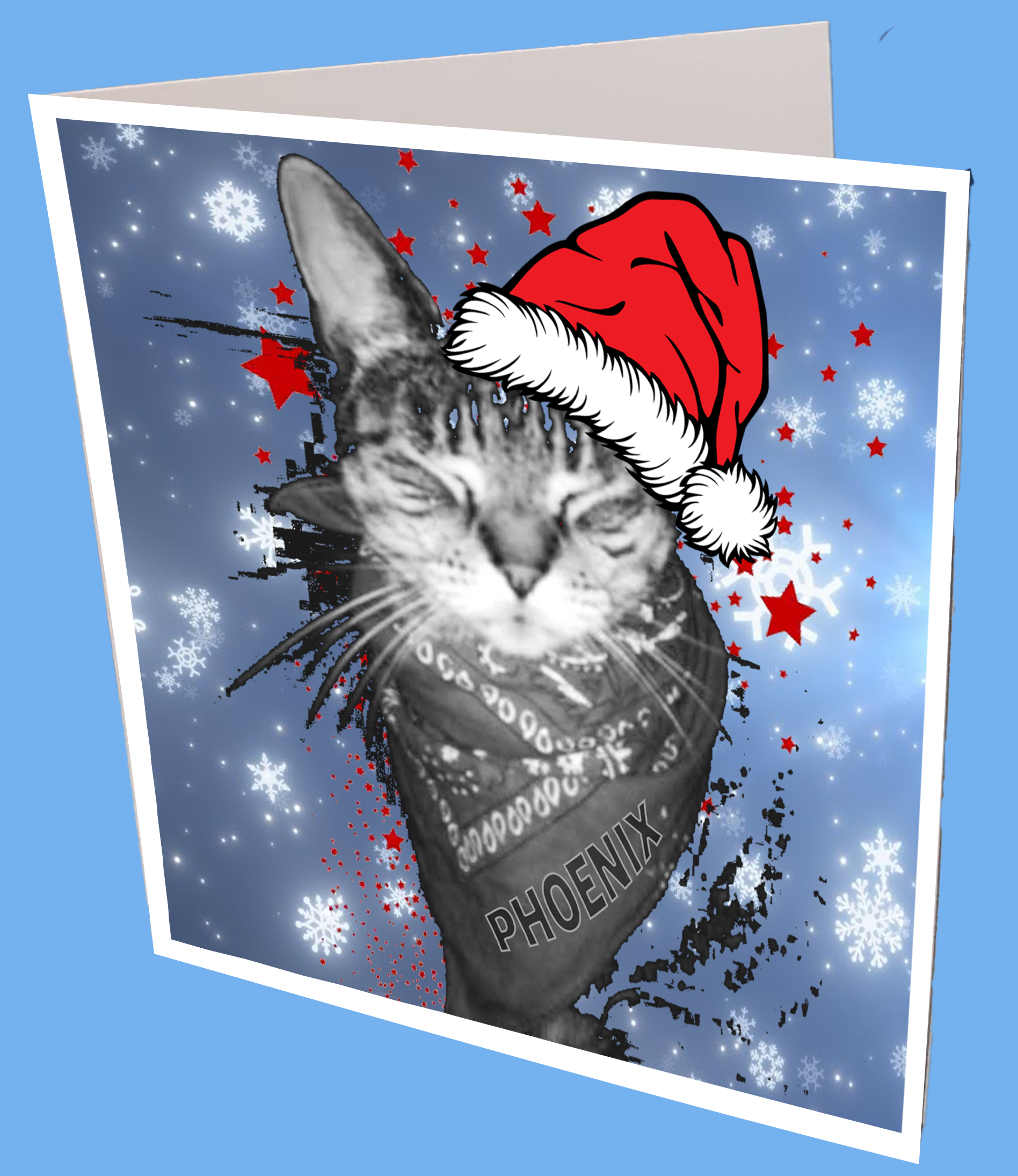 Phoenix the Cat Xmas Card