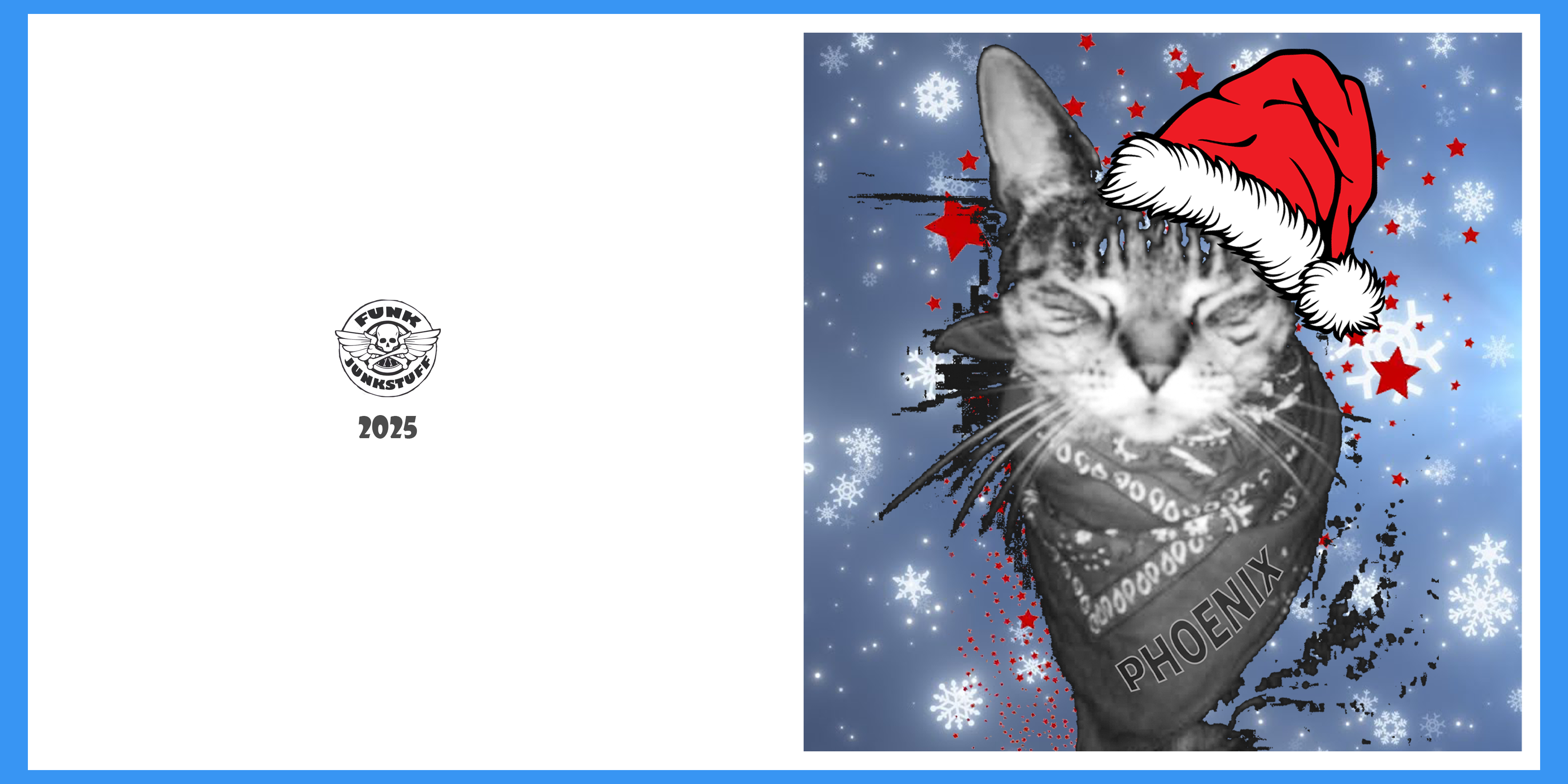 Phoenix the Cat Xmas Card
