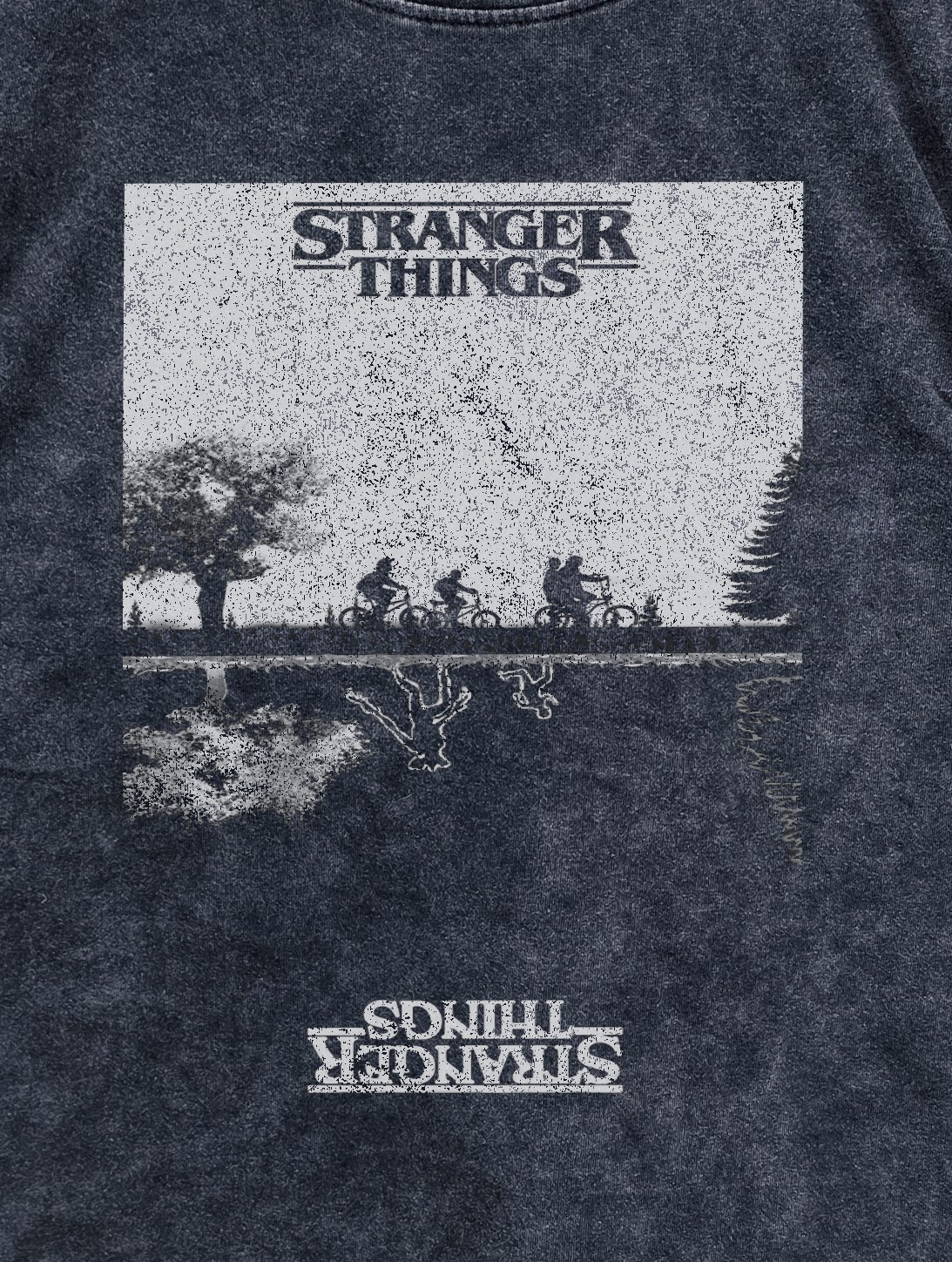 Stranger Things. The Upside down