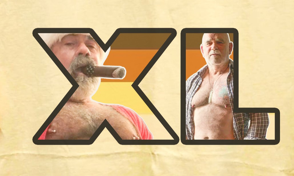 XL Bear