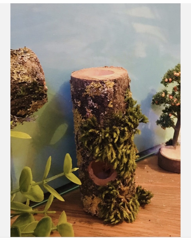 Jumping Spider/reptile Wooden Log Hides Magnetic Enclosure Decor ...
