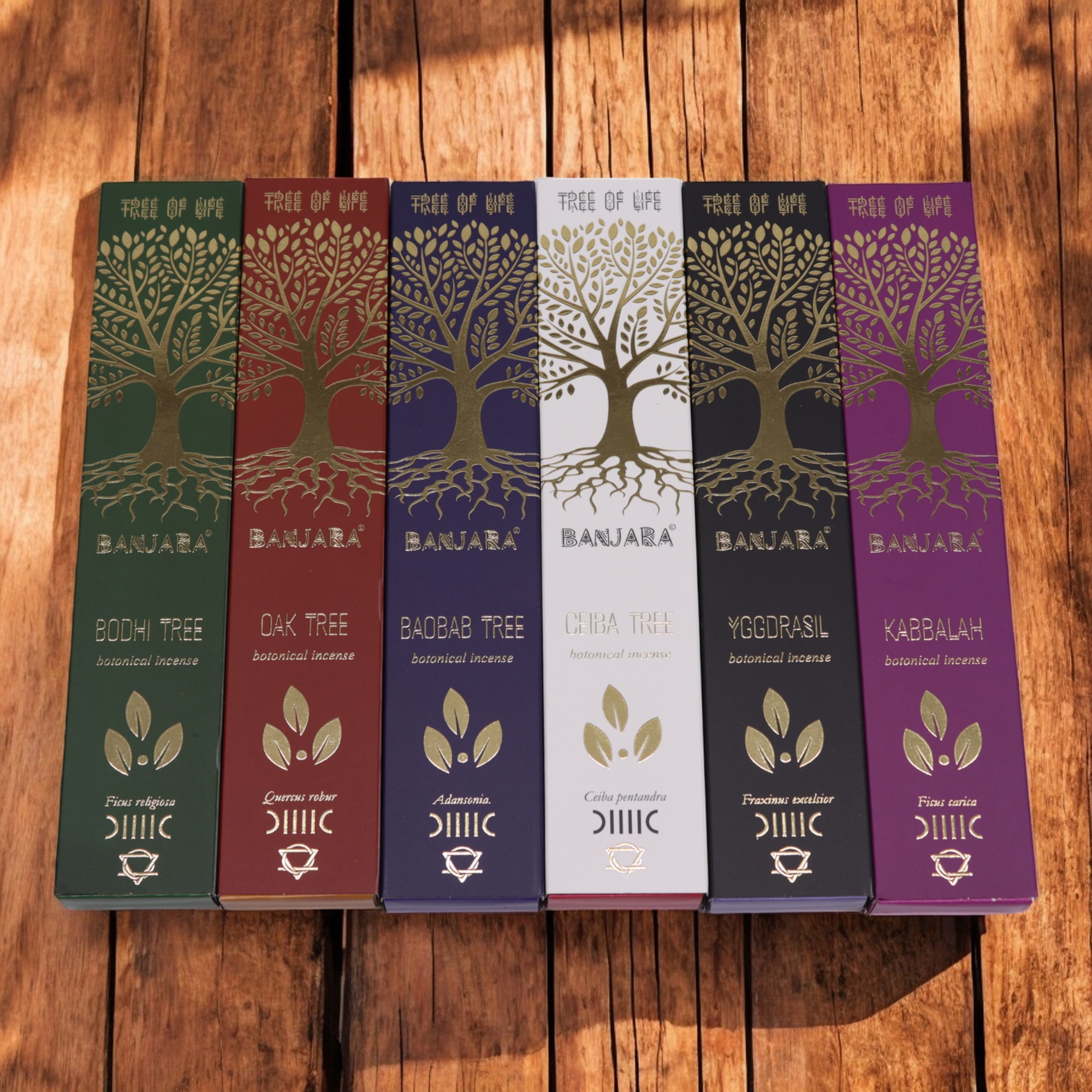 INCENSE AND ACCESSORIES