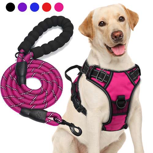 Dog Harness with lead