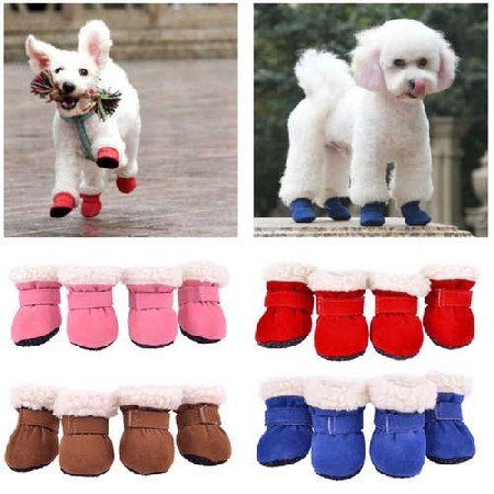 Dog boots