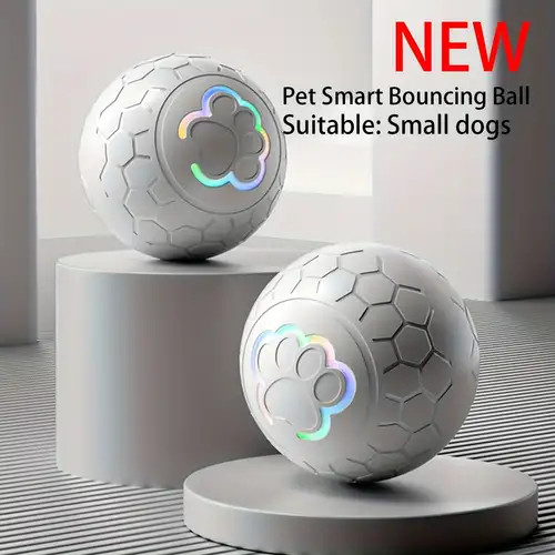 Luminous dog bouncing ball