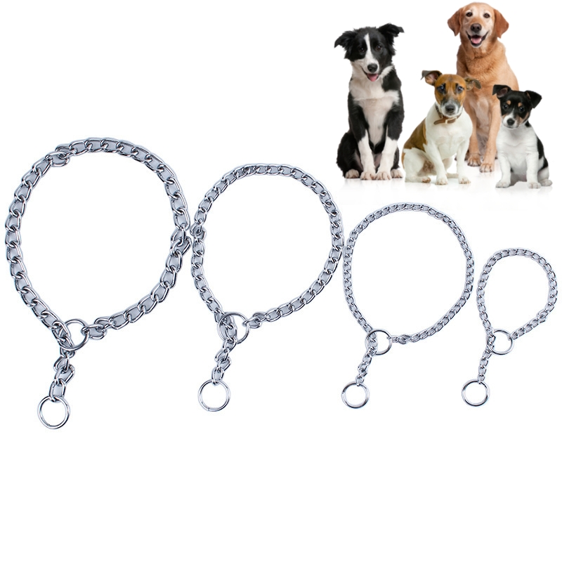 Metal chain dog collar in 4 sizes