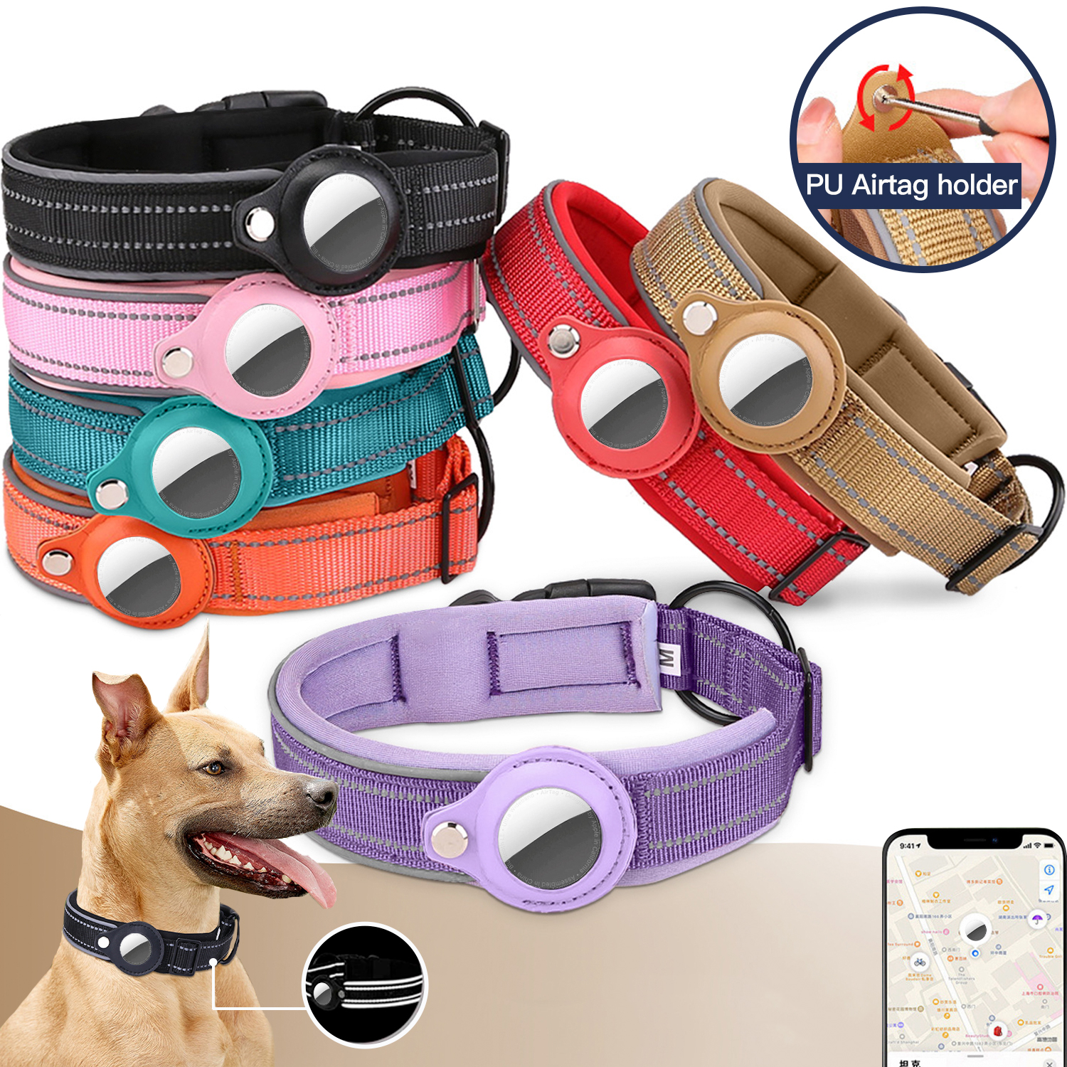 Dog collar with air tag