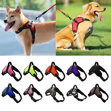 Dog harness adjustable for medium size dogs