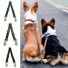 Double dog lead
