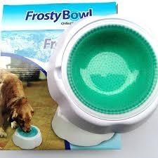 Frosty eating Bowl