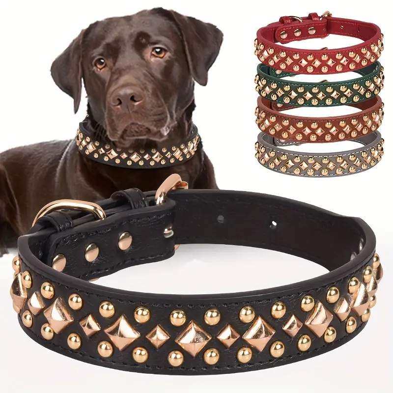 Leather dog collar with rivets